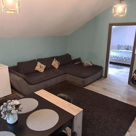 Comfort Home Apartment 3 Petroşani Екстериор снимка