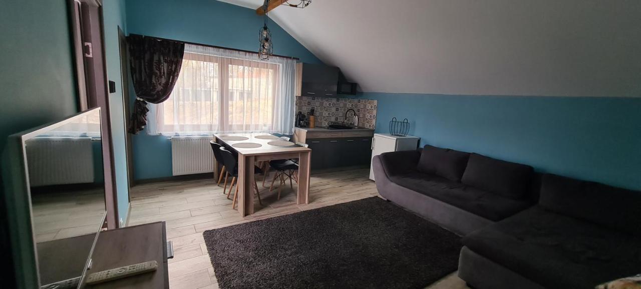 Comfort Home Apartment 3 Petroşani Екстериор снимка