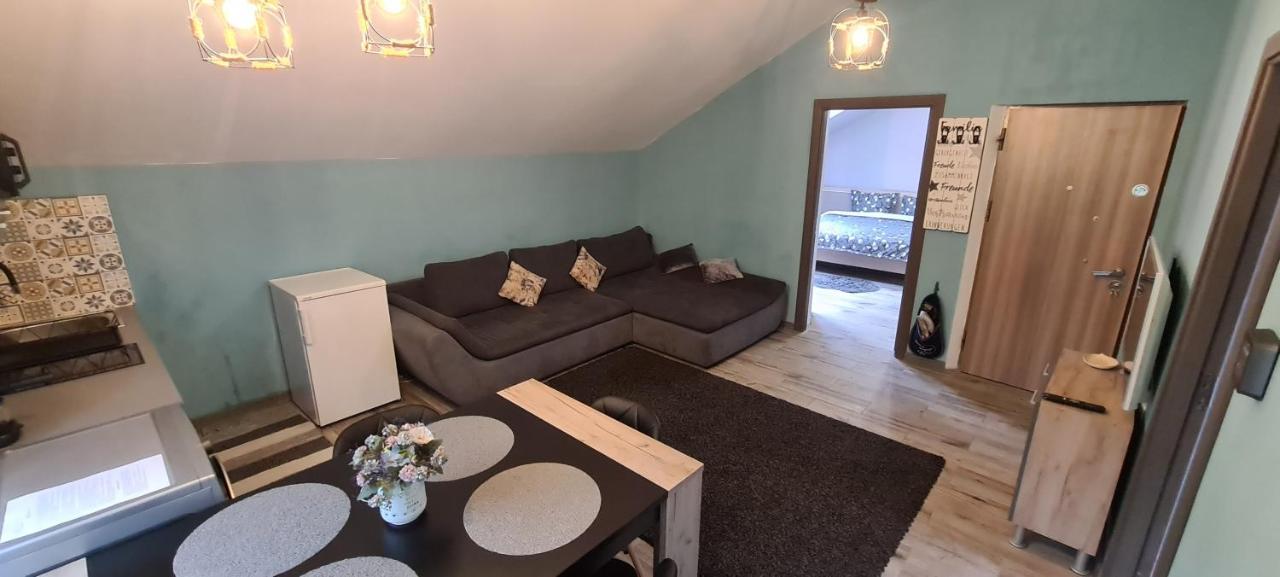 Comfort Home Apartment 3 Petroşani Екстериор снимка